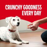 Milk-Bone Peanut Butter Maro Snacks 40 OZ - Image 3